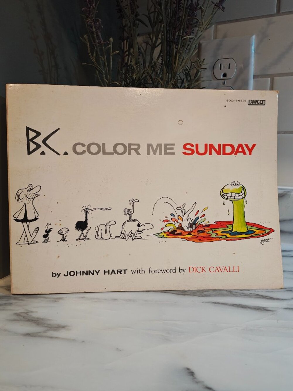 B.C. Color Me Sunday by Johnny Hart – 1977 Vintage Comic Book First Edition